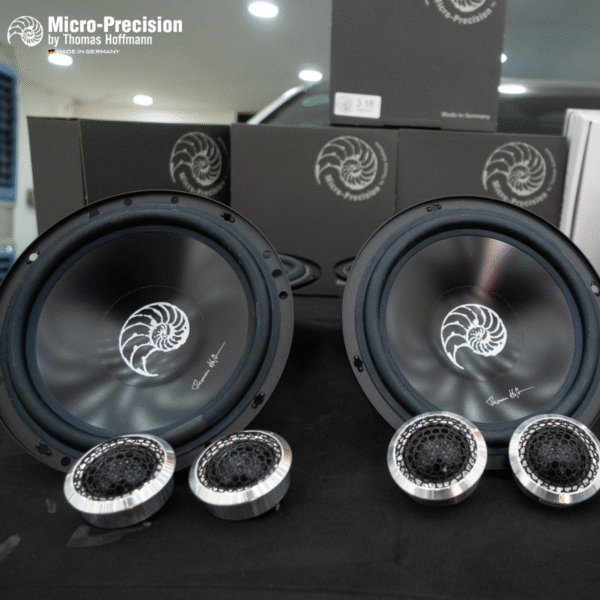 ÂM THANH MICRO-PRECISION - Ảnh 4