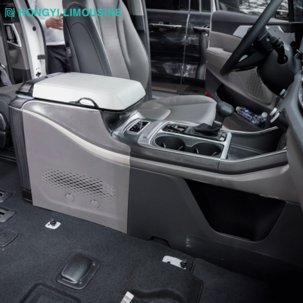 CON NGỰA KIA CARNIVAL - Ảnh 3